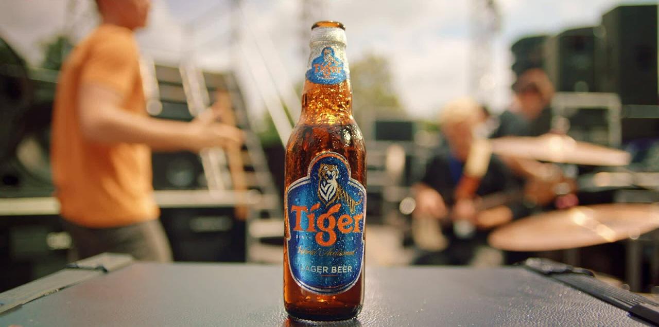 Hình ảnh chai bia Tiger